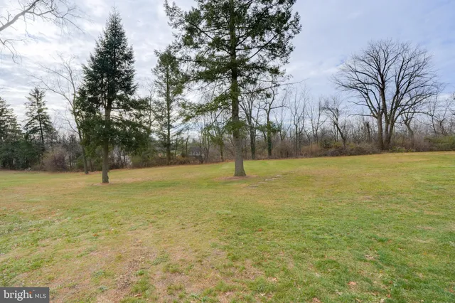 a view of a field with trees