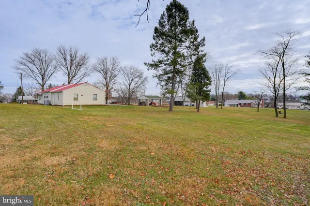 a view of a field with tree s