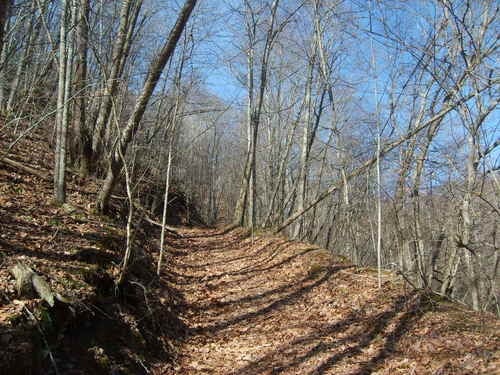 Buckeye Road Renick, WV 24966 - Photo 12 of 16 Gallery Image 12
