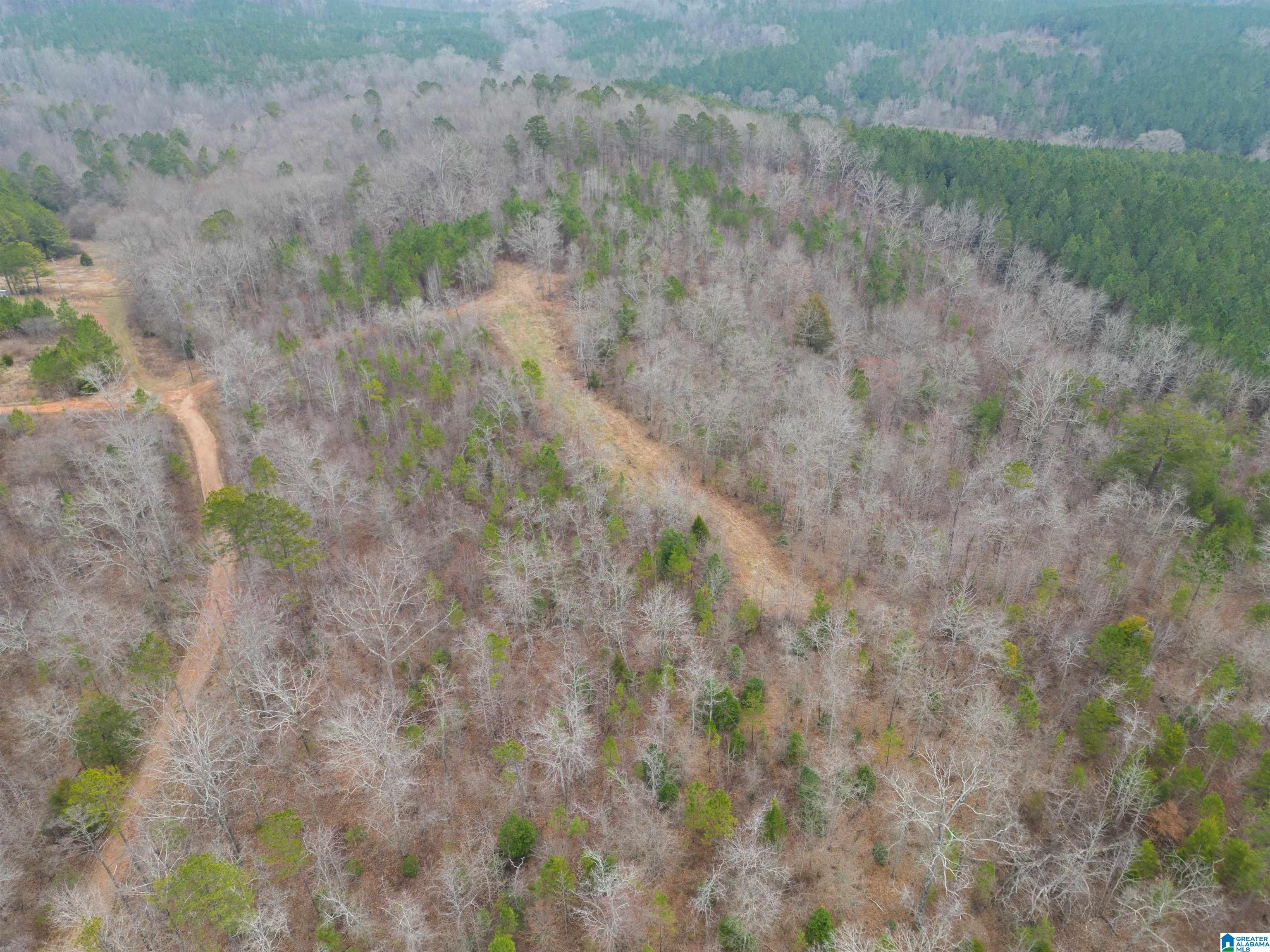 3036 County Road 7 Wedowee, AL 36278 - Photo 15 of 17