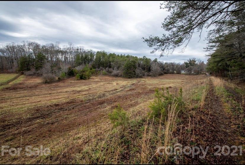 55-ac 55-ac Old Gilbertown Road Rutherfordton, NC 28139 - Photo 3 of 8 Gallery Image 3