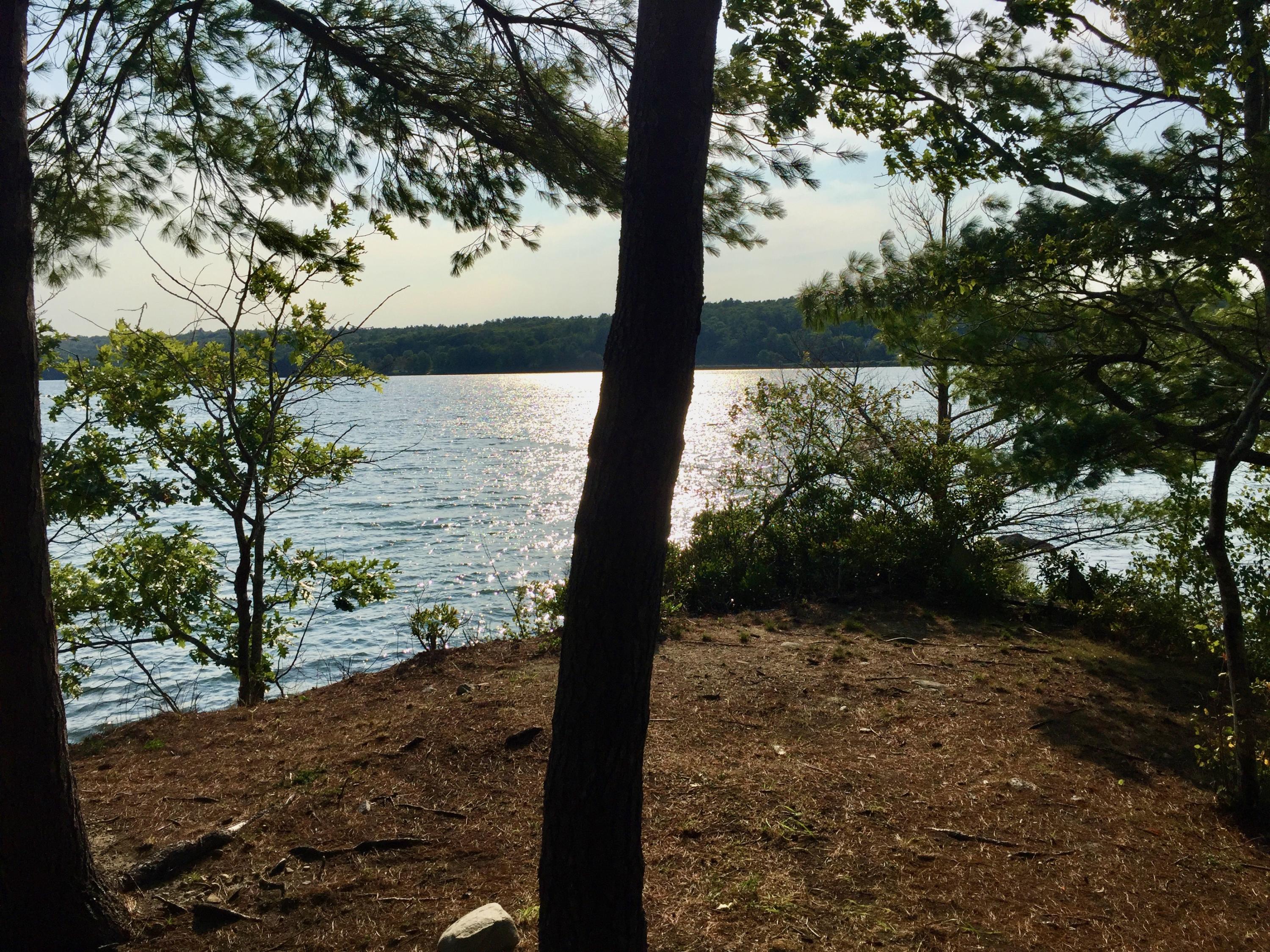 0 Indian Point Road Nobleboro, ME 04555 - Photo 10 of 34 IMG_2701