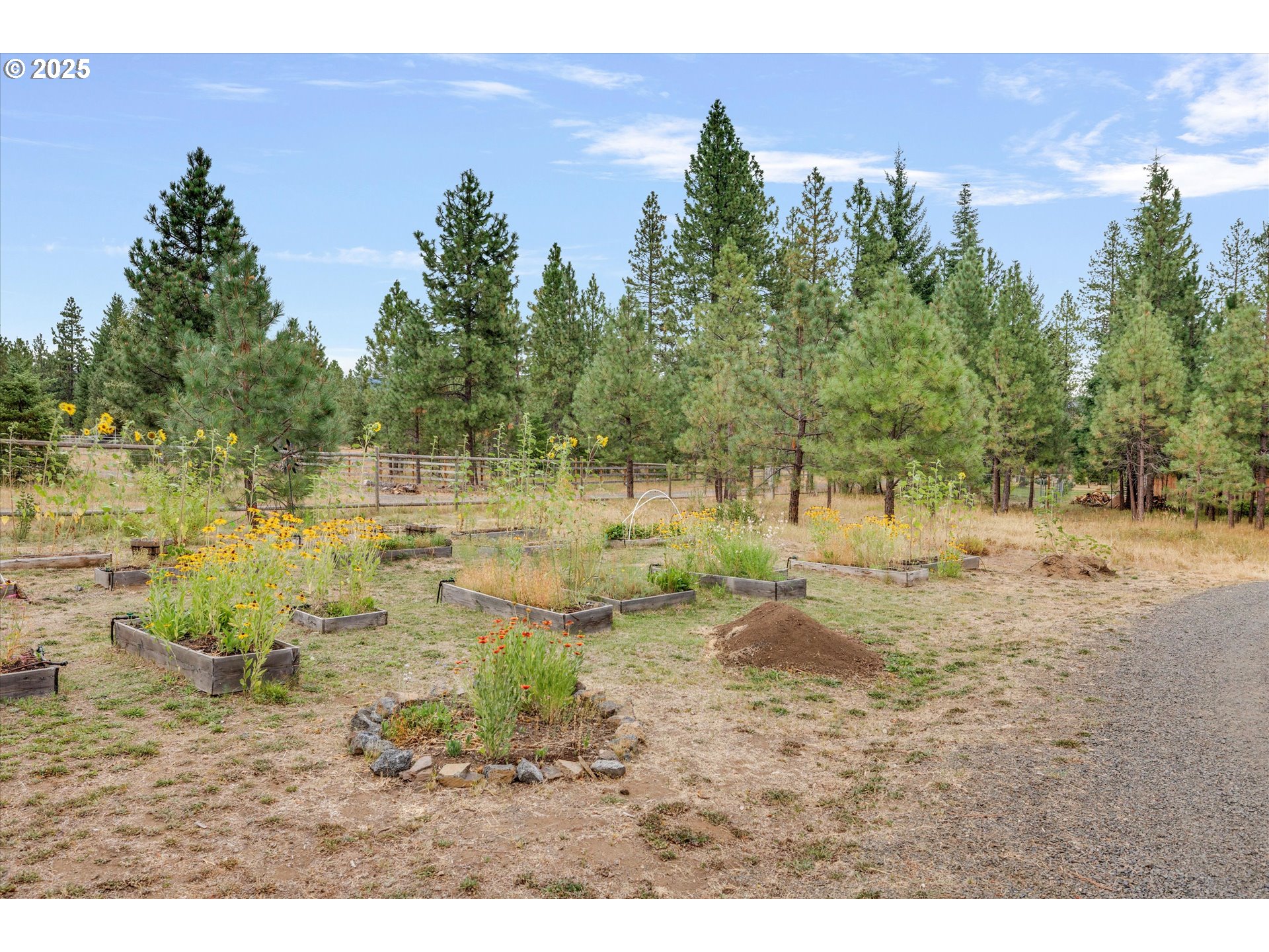 67 Dean Road Trout Lake, WA 98650 - Photo 41 of 48 Gallery Image 41