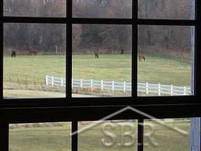 2734 Lone Road Freeland, MI 48623 - Photo 8 of 20 20035480-7.JPG