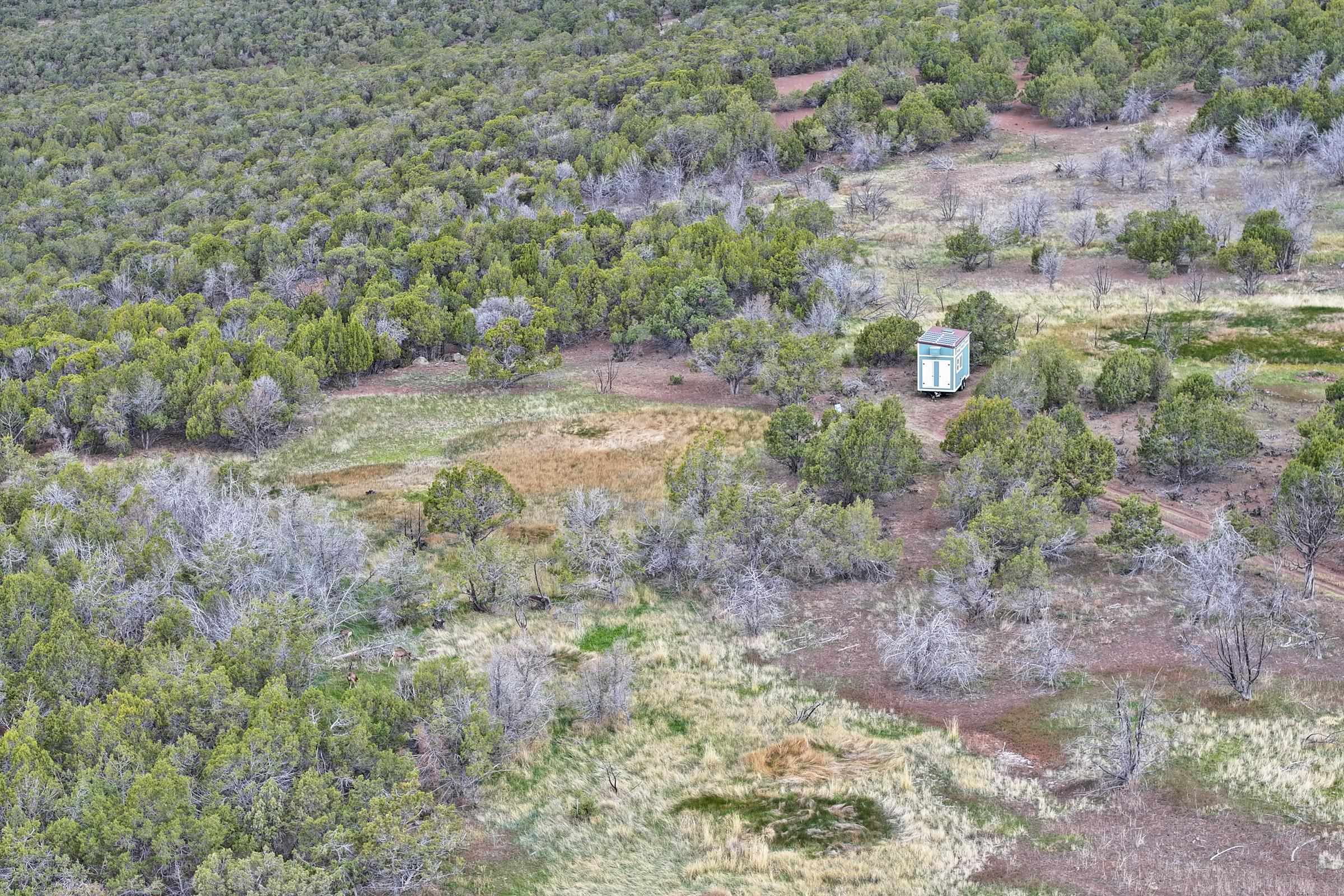 12705 55 Road Collbran, CO 81624 - Photo 19 of 31 a view of a dry yard with trees