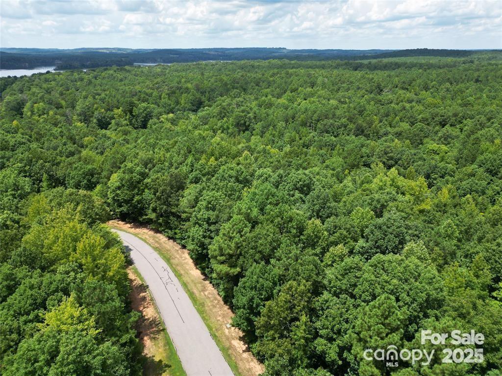 Lot 29 Watson Way, Unit 29 Rockingham, NC 28379 - Photo 6 of 17