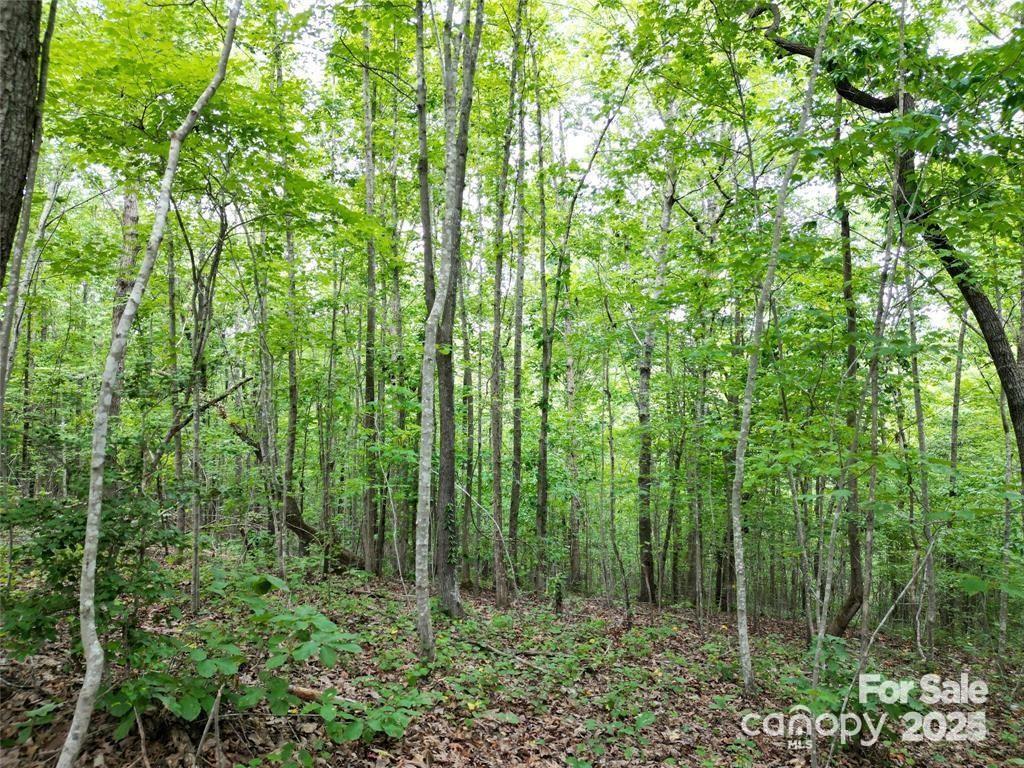 Lot 29 Watson Way, Unit 29 Rockingham, NC 28379 - Photo 7 of 17