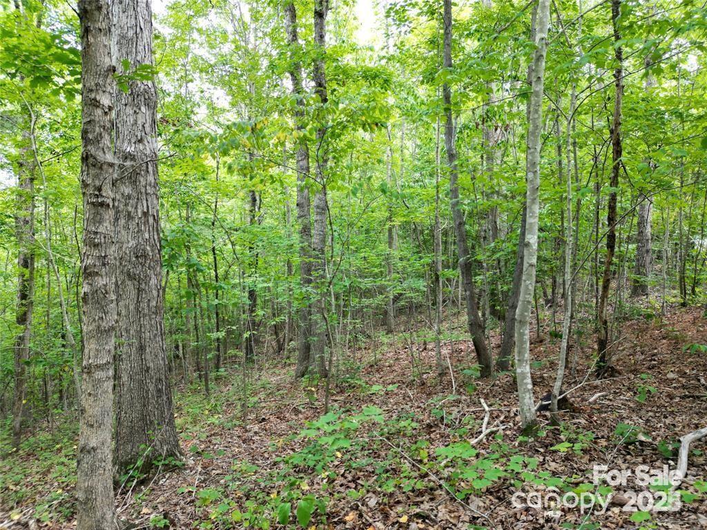 Lot 29 Watson Way, Unit 29 Rockingham, NC 28379 - Photo 8 of 17