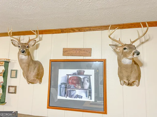 $874,900 | 295 J Davis Road, Tallapoosa, GA 30176