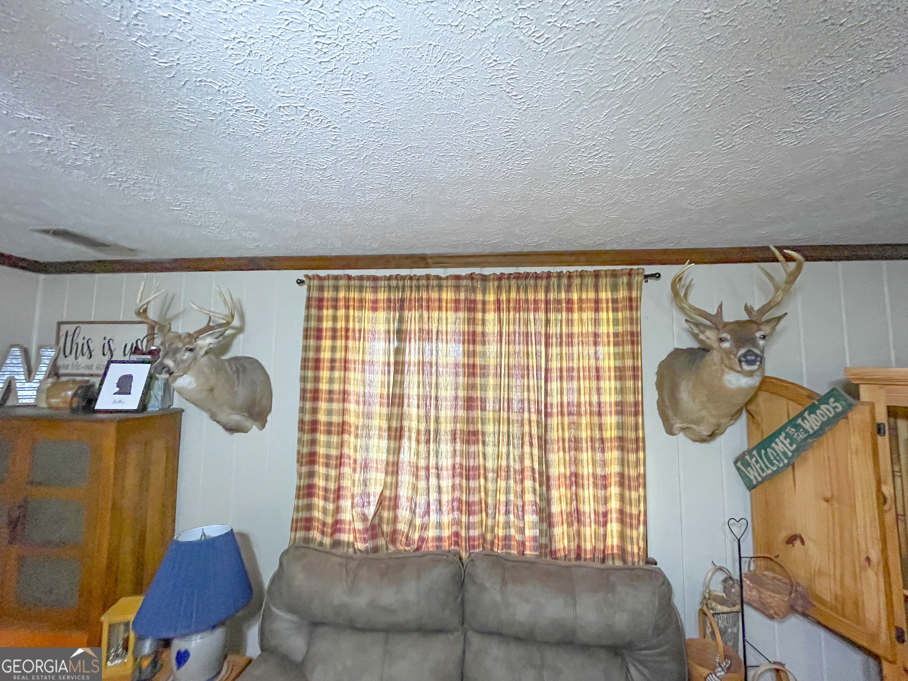 295 J Davis Road Tallapoosa, GA 30176 - Photo 20 of 36