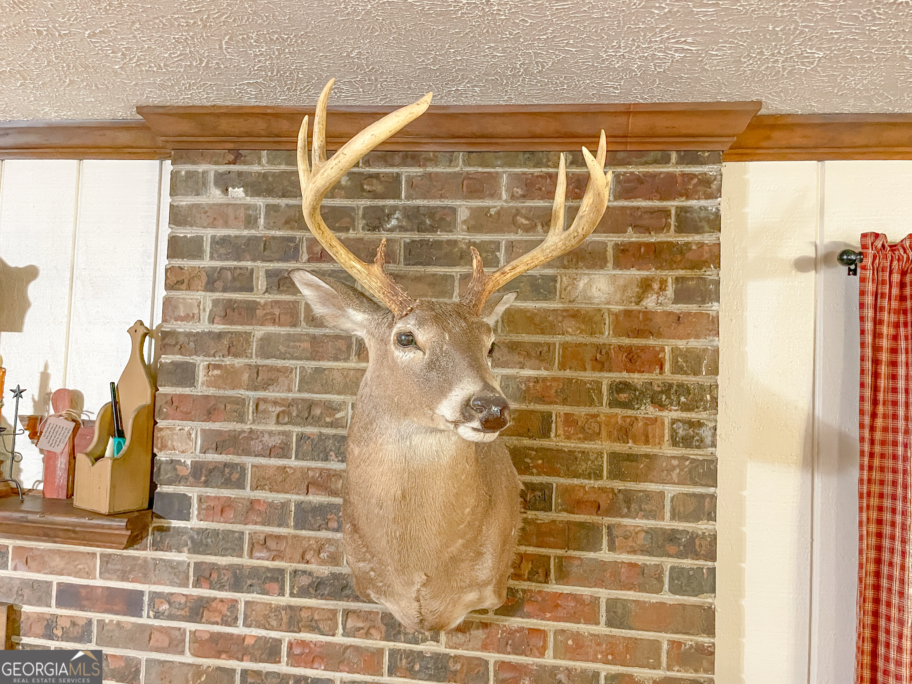 295 J Davis Road Tallapoosa, GA 30176 - Photo 21 of 36