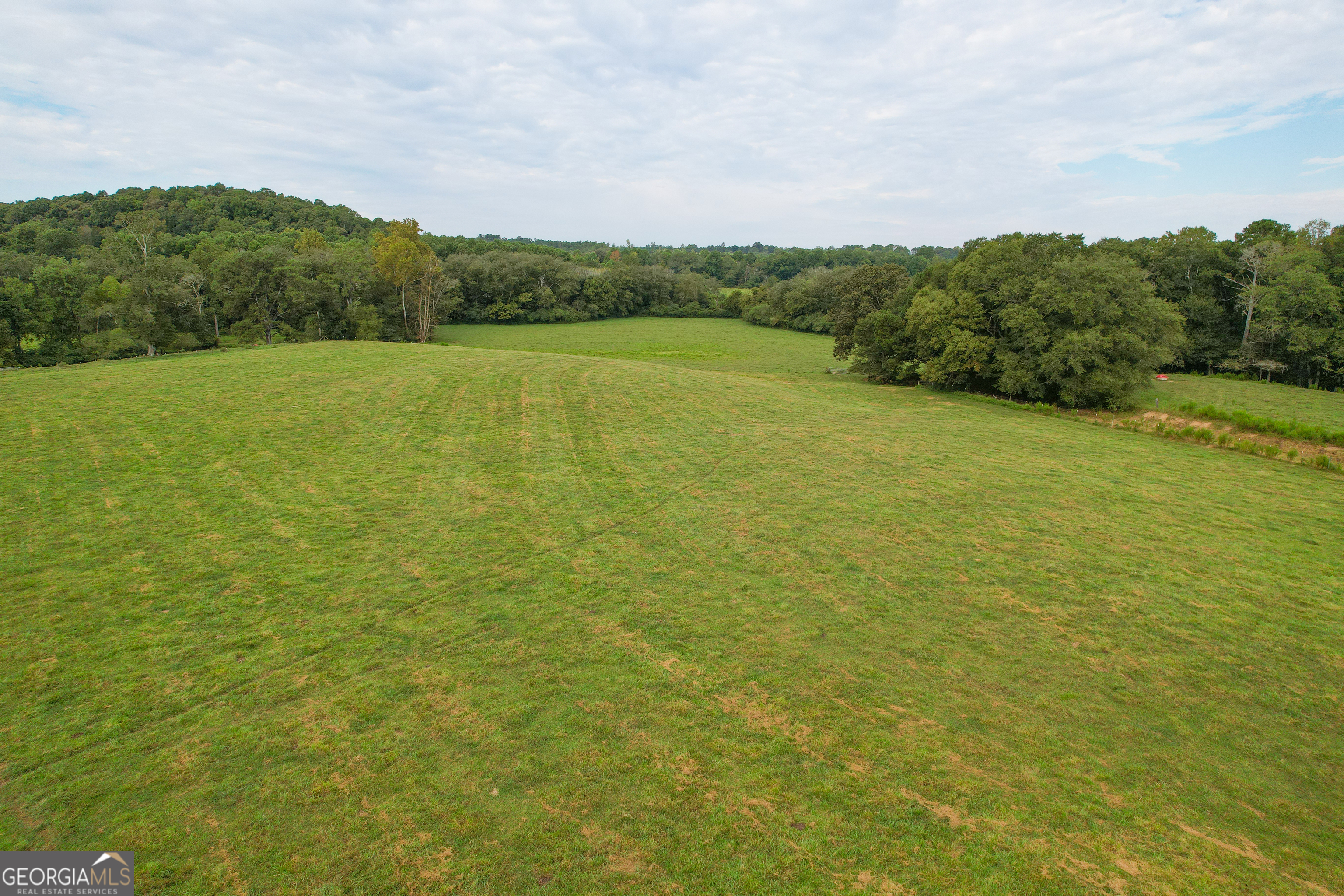 295 J Davis Road Tallapoosa, GA 30176 - Photo 6 of 36