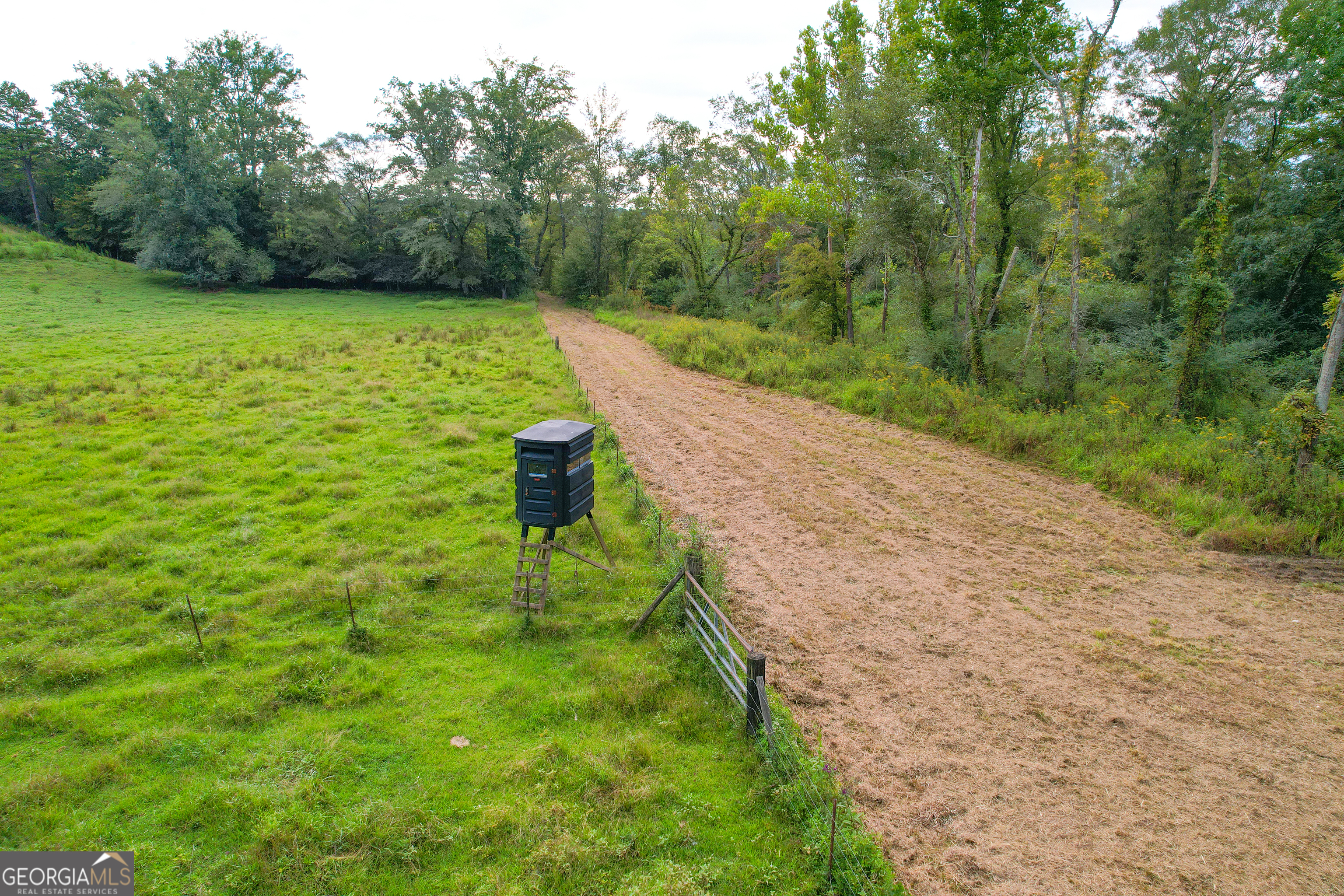 295 J Davis Road Tallapoosa, GA 30176 - Photo 7 of 36