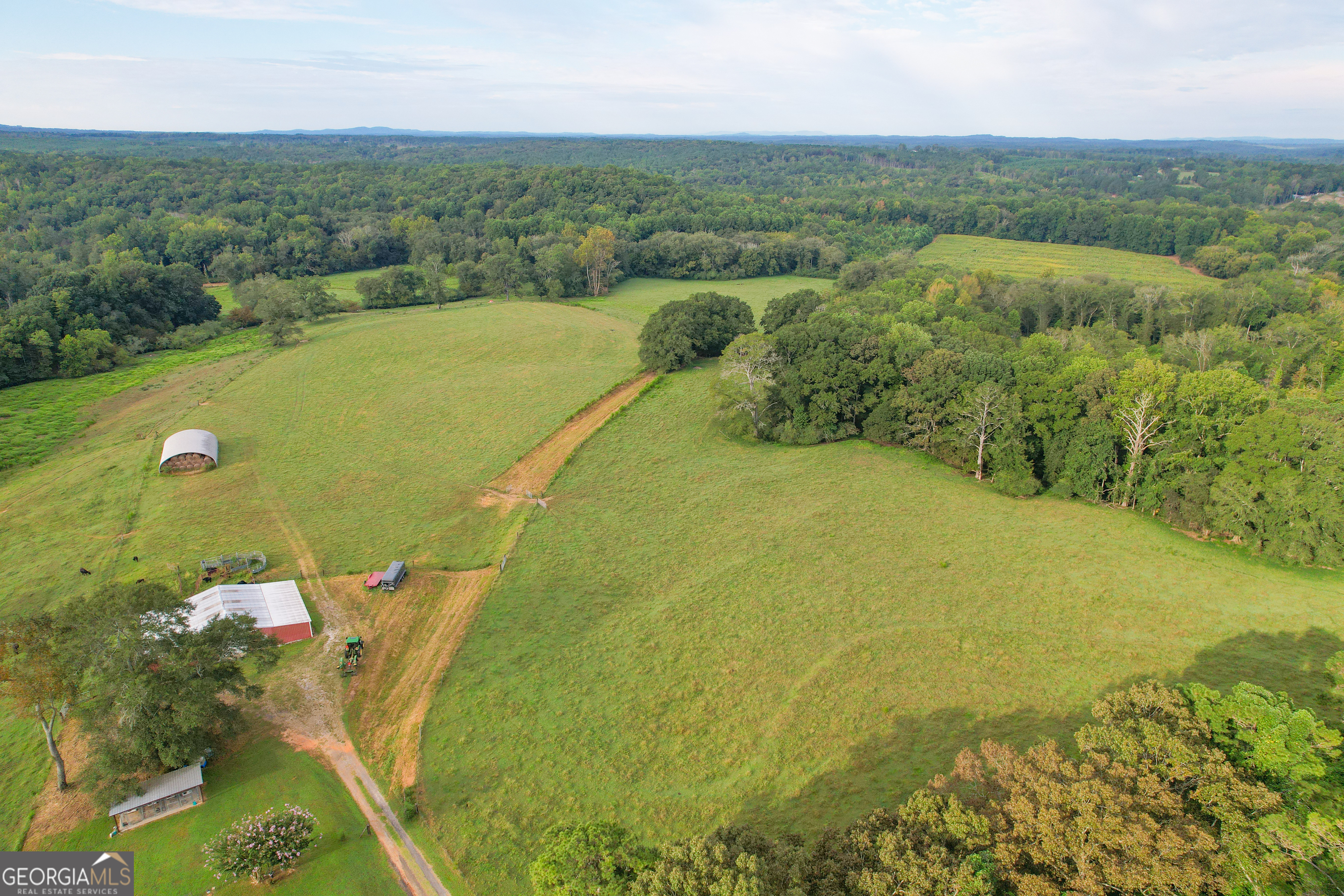 295 J Davis Road Tallapoosa, GA 30176 - Photo 8 of 36