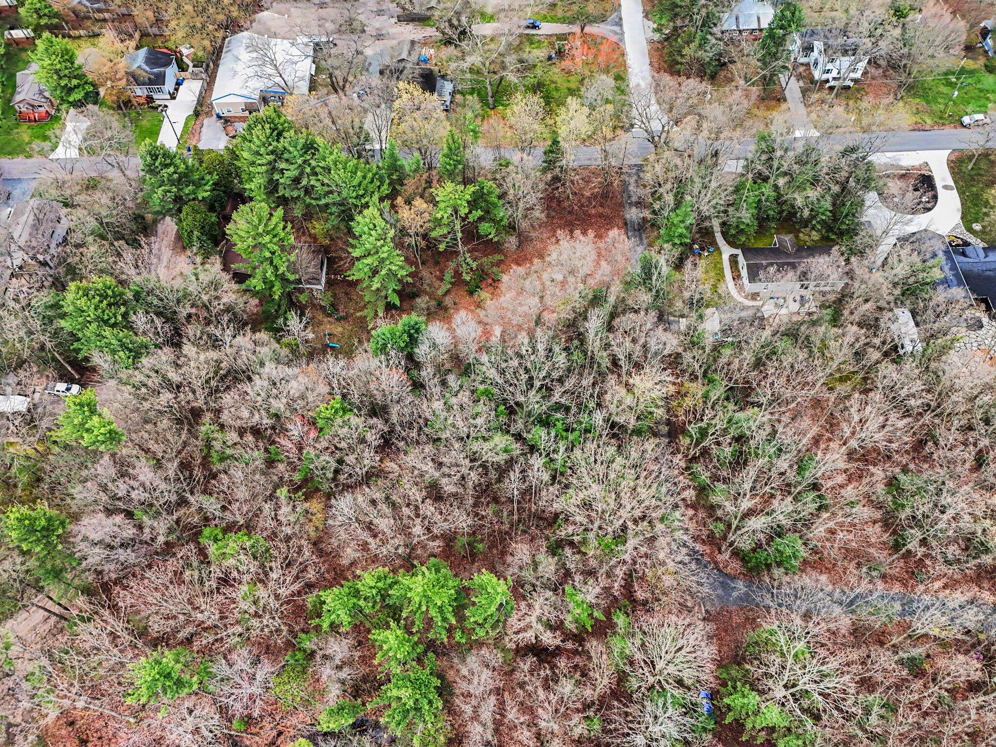 Undisclosed Address Pentwater, MI 49449 - Photo 8 of 14 006_dji_20260430090255_0044_d_551