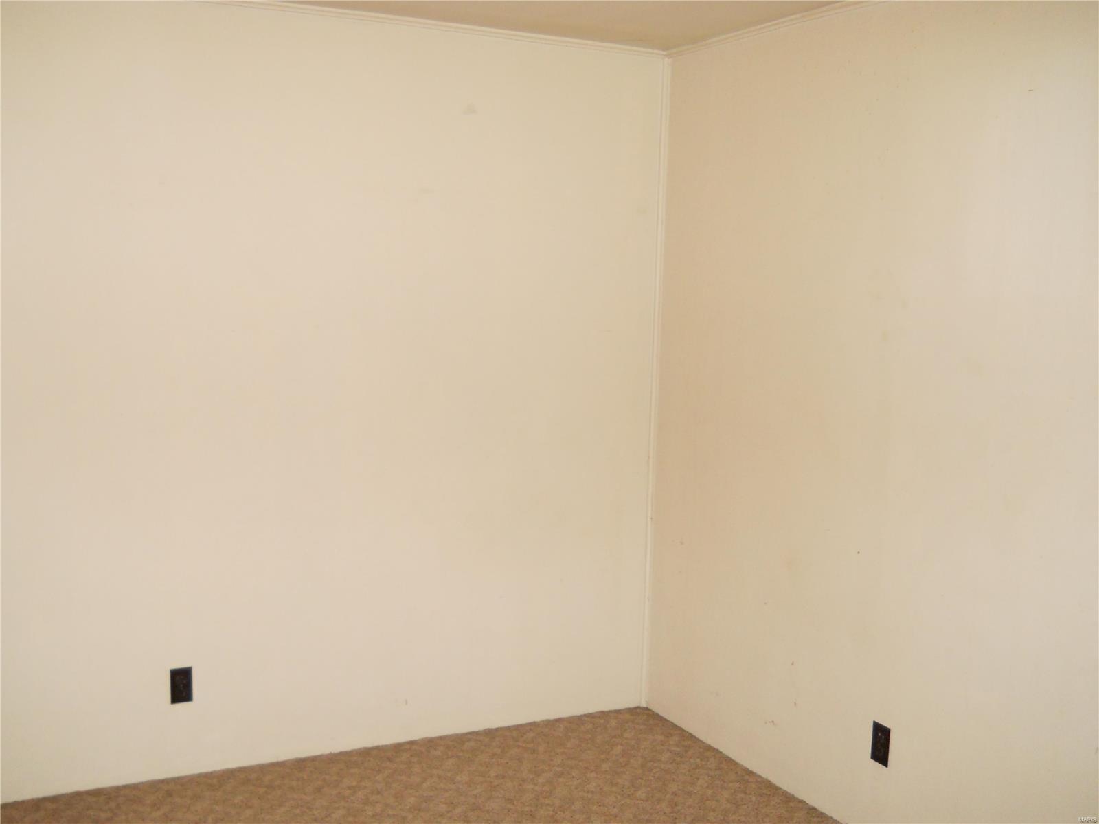 230 Rose Lane Shipman, IL 62685 - Photo 12 of 18