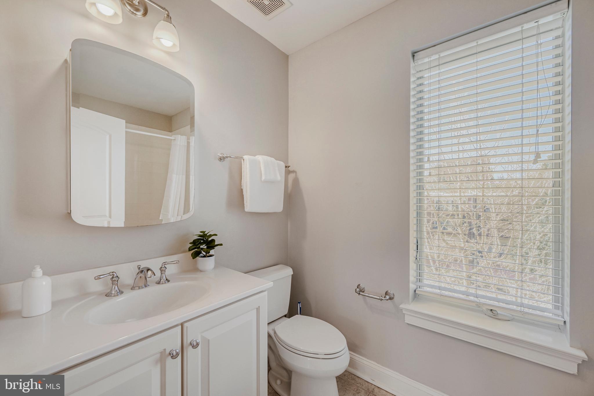 900 Valencia Court, Unit 188 Baltimore, MD 21230 - Photo 36 of 46 a bathroom with a sink vanity mirror and toilet