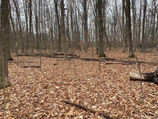0 Corlett Road Brighton, MI 48114 - Photo 3 of 7