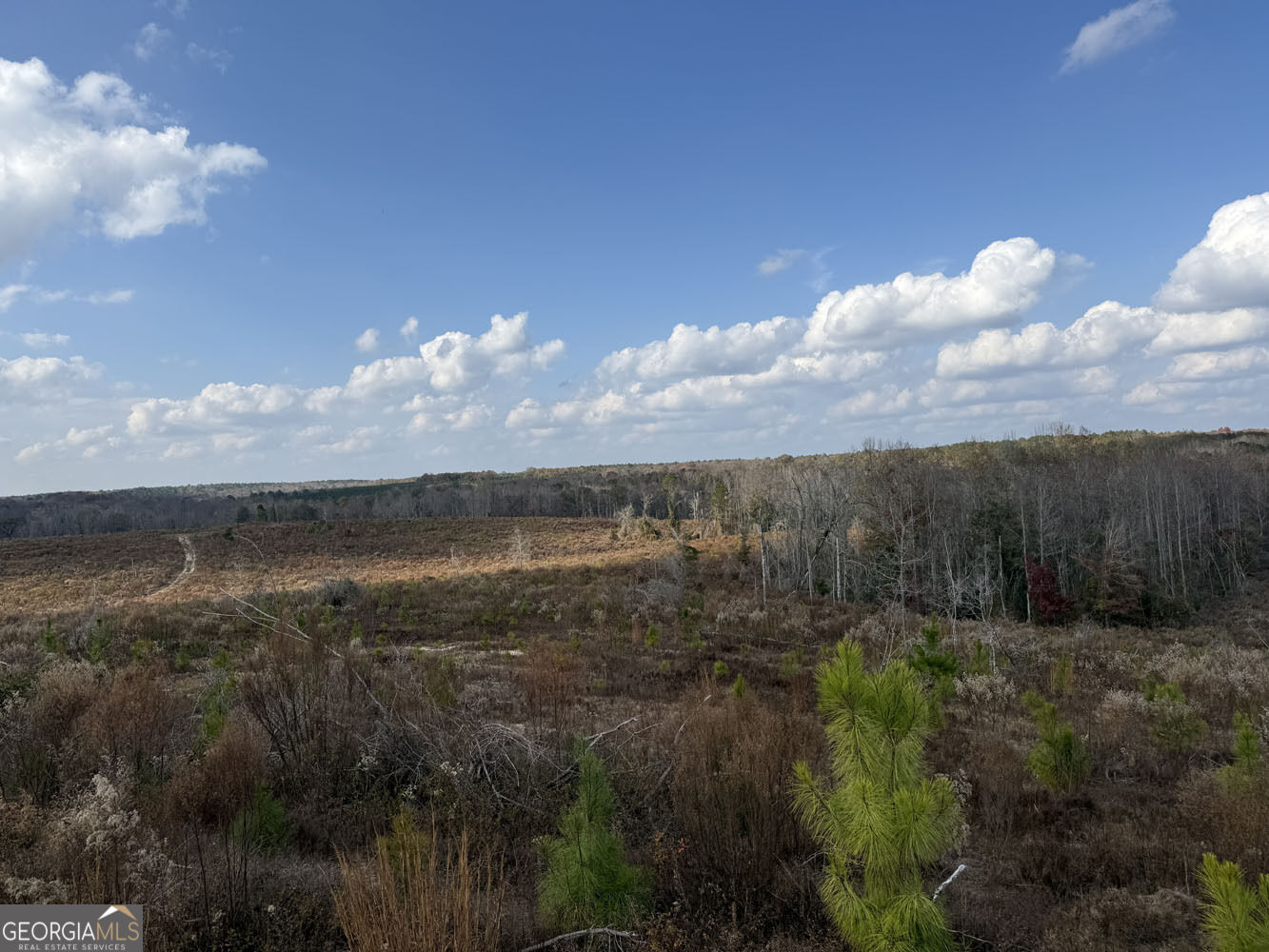 994 Joe Jones Road Ideal, GA 31041 - Photo 1 of 20 Gallery Image 1