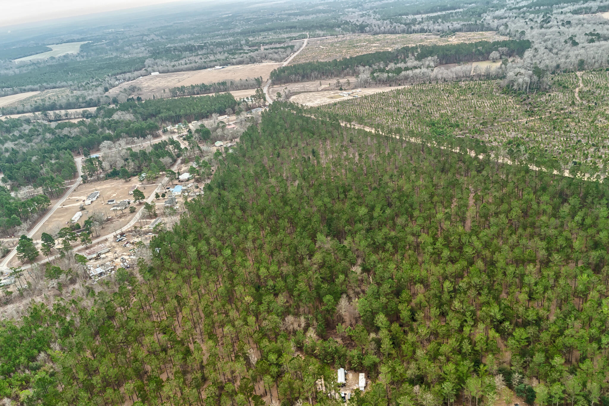 0 Otis Baughman Sr Road Wagener, SC 29164 - Photo 8 of 11