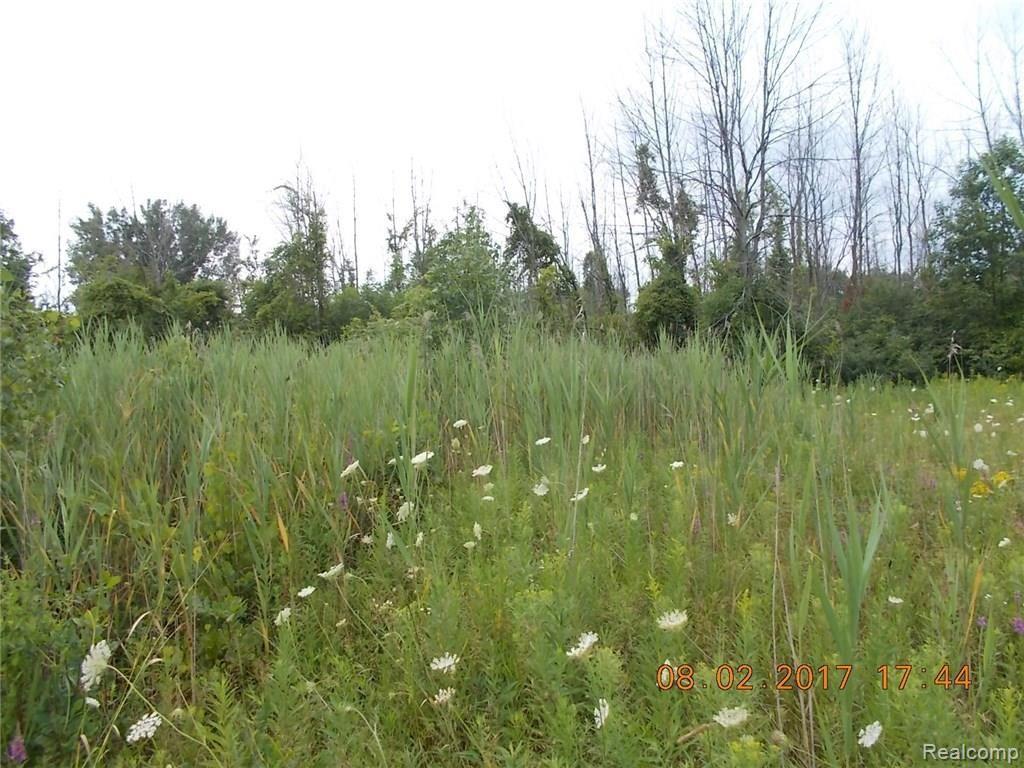 0 Dickerson Road Akron, MI 48701 - Photo 3 of 7