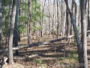4 South A S Cove Rd Mill Spring Mill Spring, NC 28756 - Photo 2 of 6 a backyard of a house with lots of green space