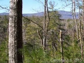 4 South A S Cove Rd Mill Spring Mill Spring, NC 28756 - Photo 3 of 6 a view of a yard