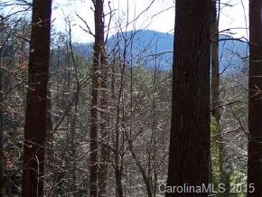 4 South A S Cove Rd Mill Spring Mill Spring, NC 28756 - Photo 4 of 6