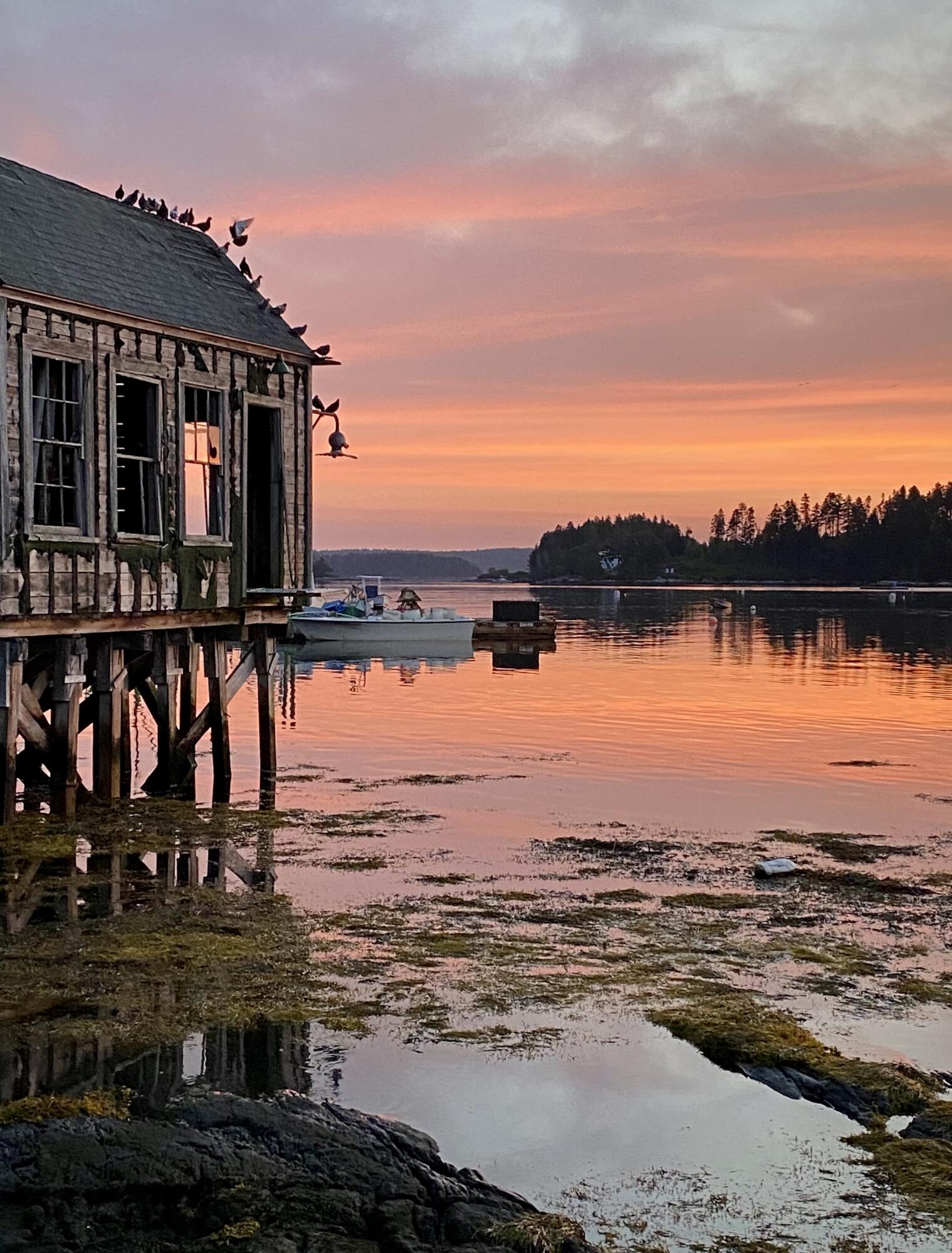 862 Cundy's Harbor Road Harpswell, ME 04079 - Photo 4 of 34 Boat launch sunrise