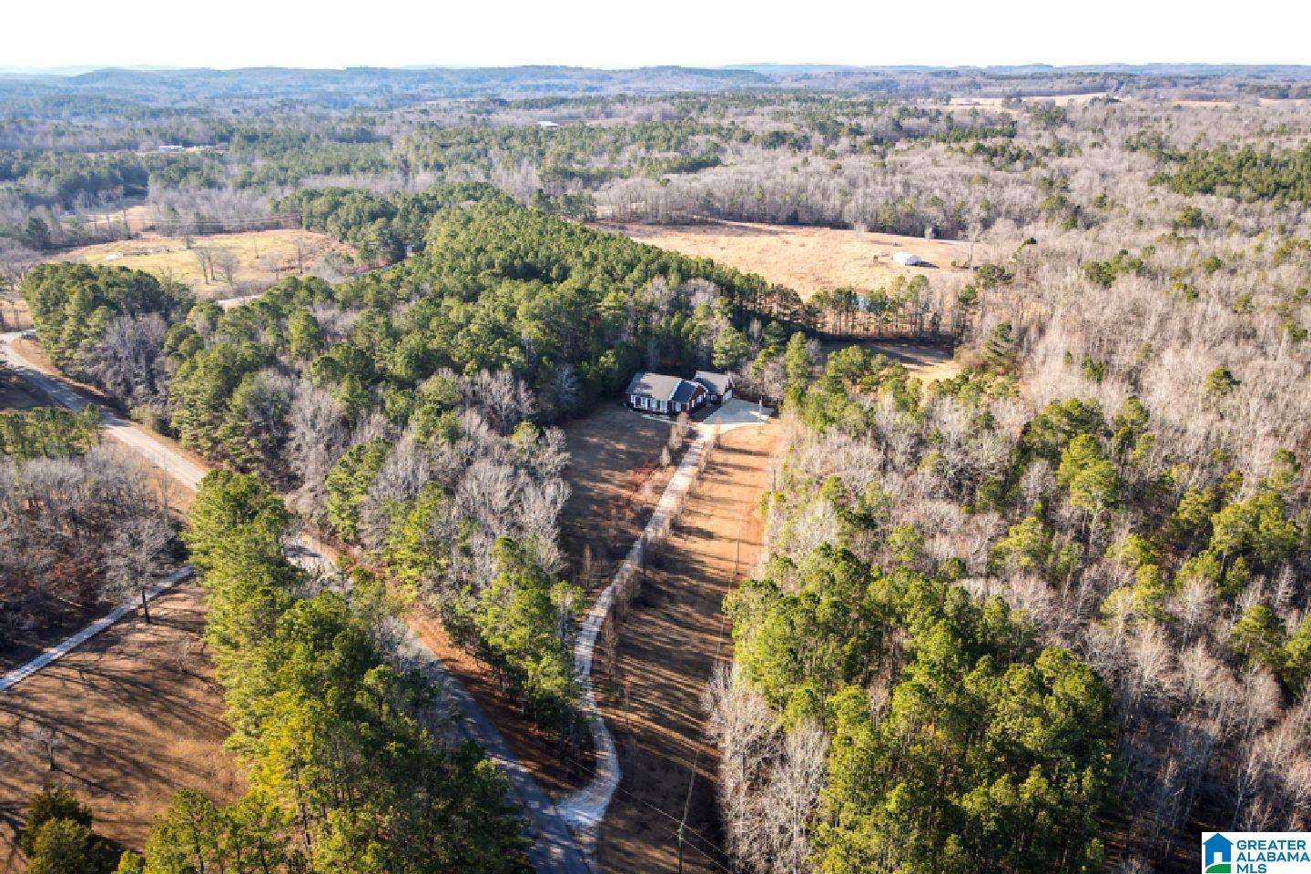 4056 Owens Road Ashland, AL 36251 - Photo 50 of 57