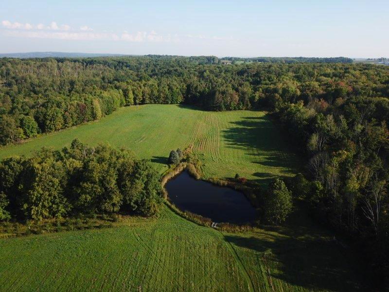 16901 State Rte 86 Saegertown, PA 16433 - Photo 25 of 75