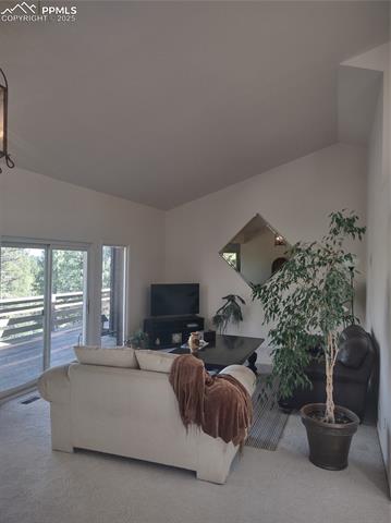 423 Ridge Road Divide, CO 80814 - Photo 8 of 48 Carpeted living area with vaulted ceiling