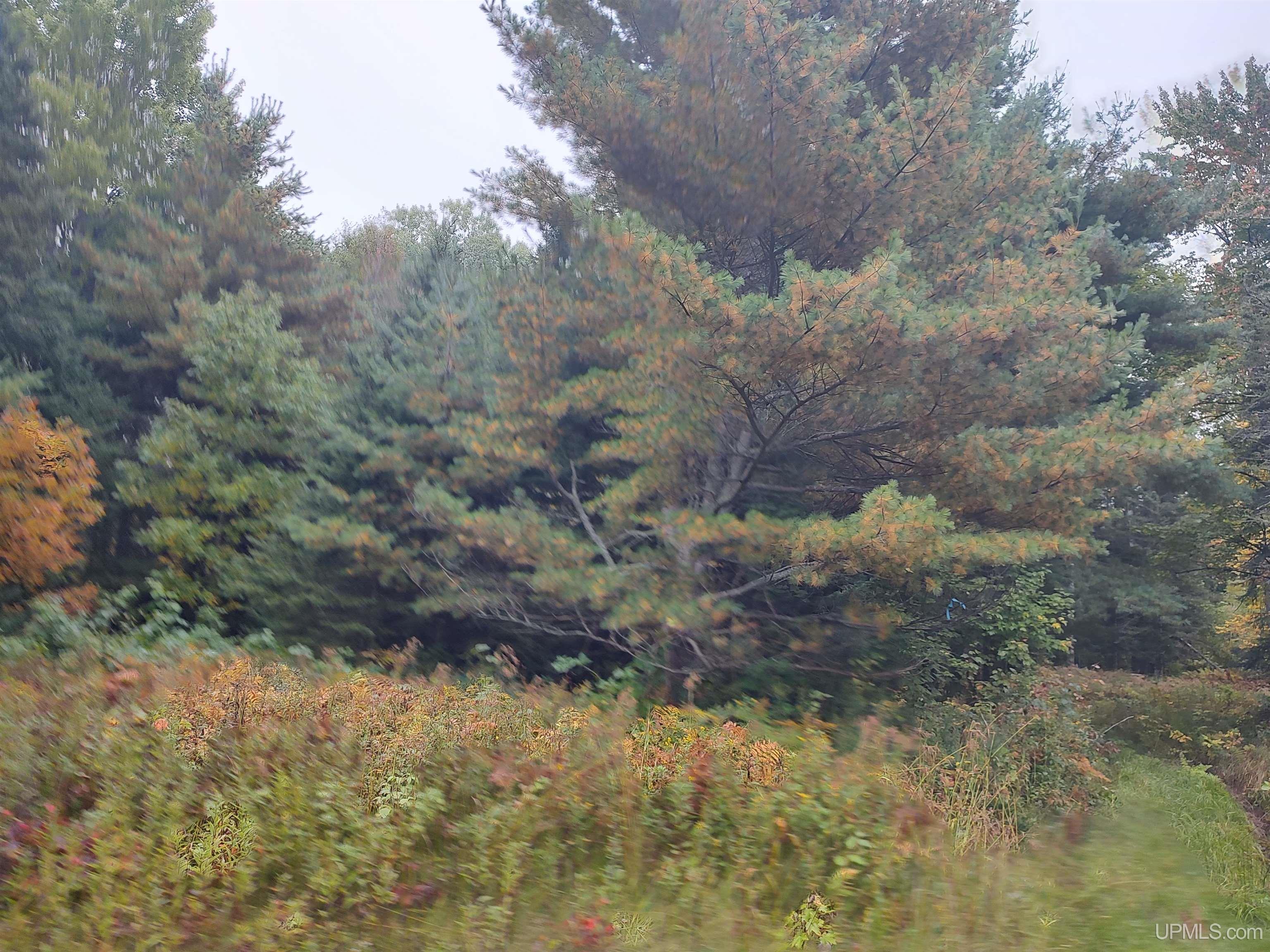 Tbd South Laird Road Pelkie, MI 49958 - Photo 6 of 25