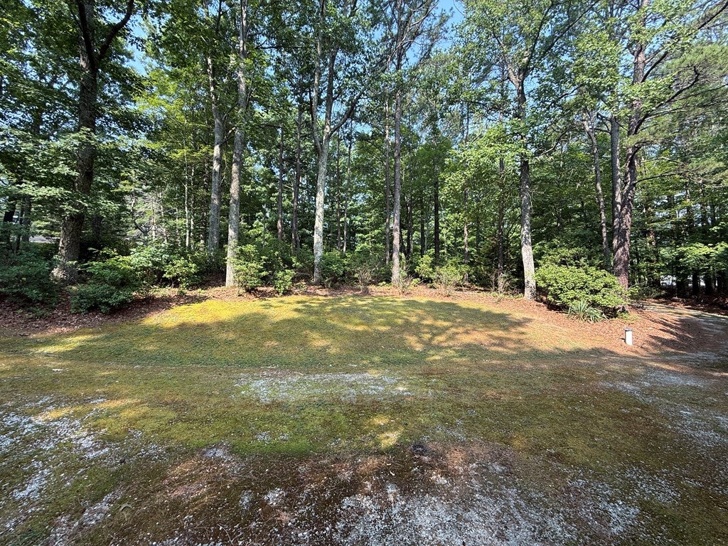 2436 Meadowbrook Road Cana, VA 24317 - Photo 71 of 76 Gallery Image 71