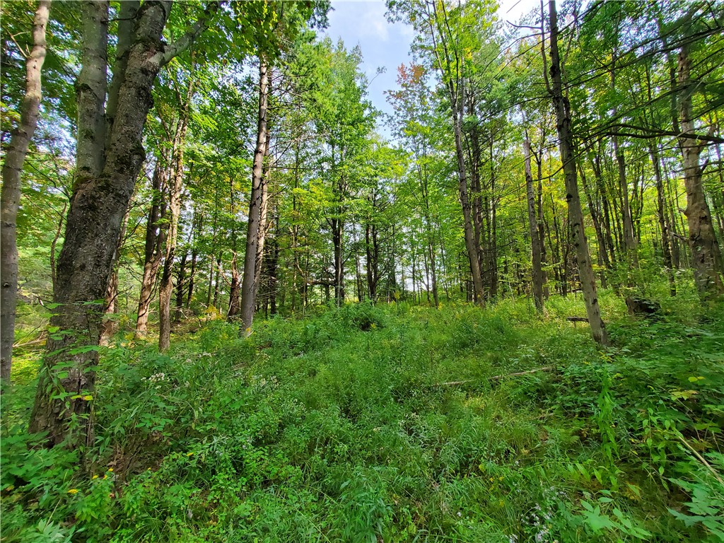 201 Sunrise Mountain Road Kortright, NY 13739 - Photo 46 of 49