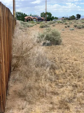 a view of a dry yard with wooden fence