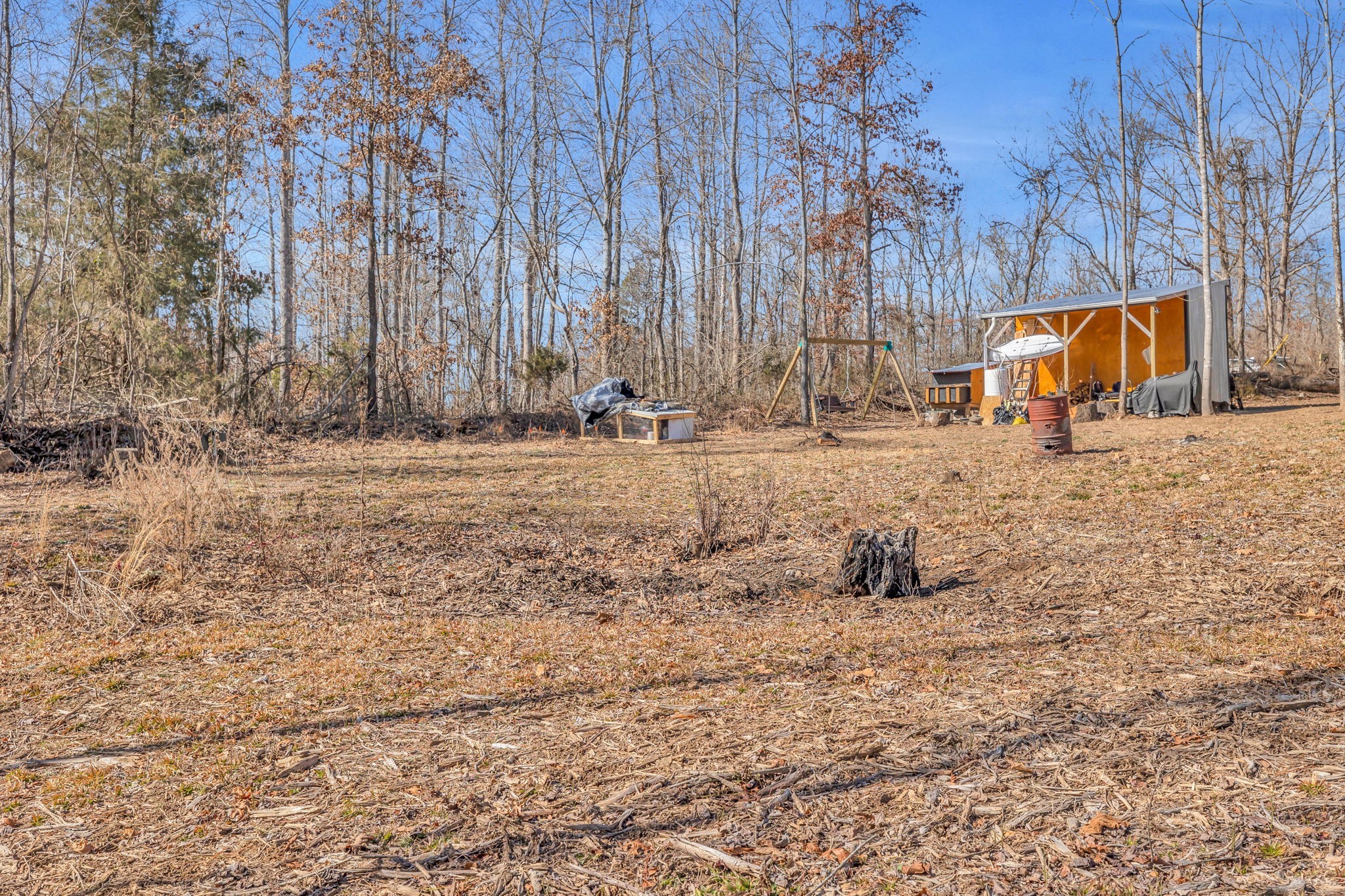 262 Deer Haven Road Indian Mound, TN 37079 - Photo 11 of 29