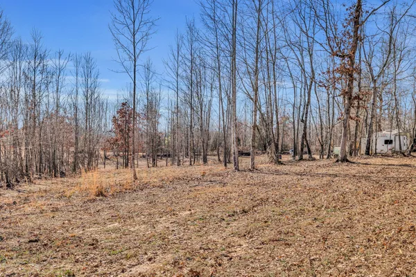 a view of dirt yard with large trees
