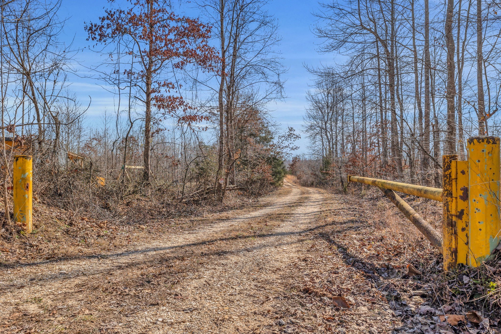 262 Deer Haven Road Indian Mound, TN 37079 - Photo 13 of 29