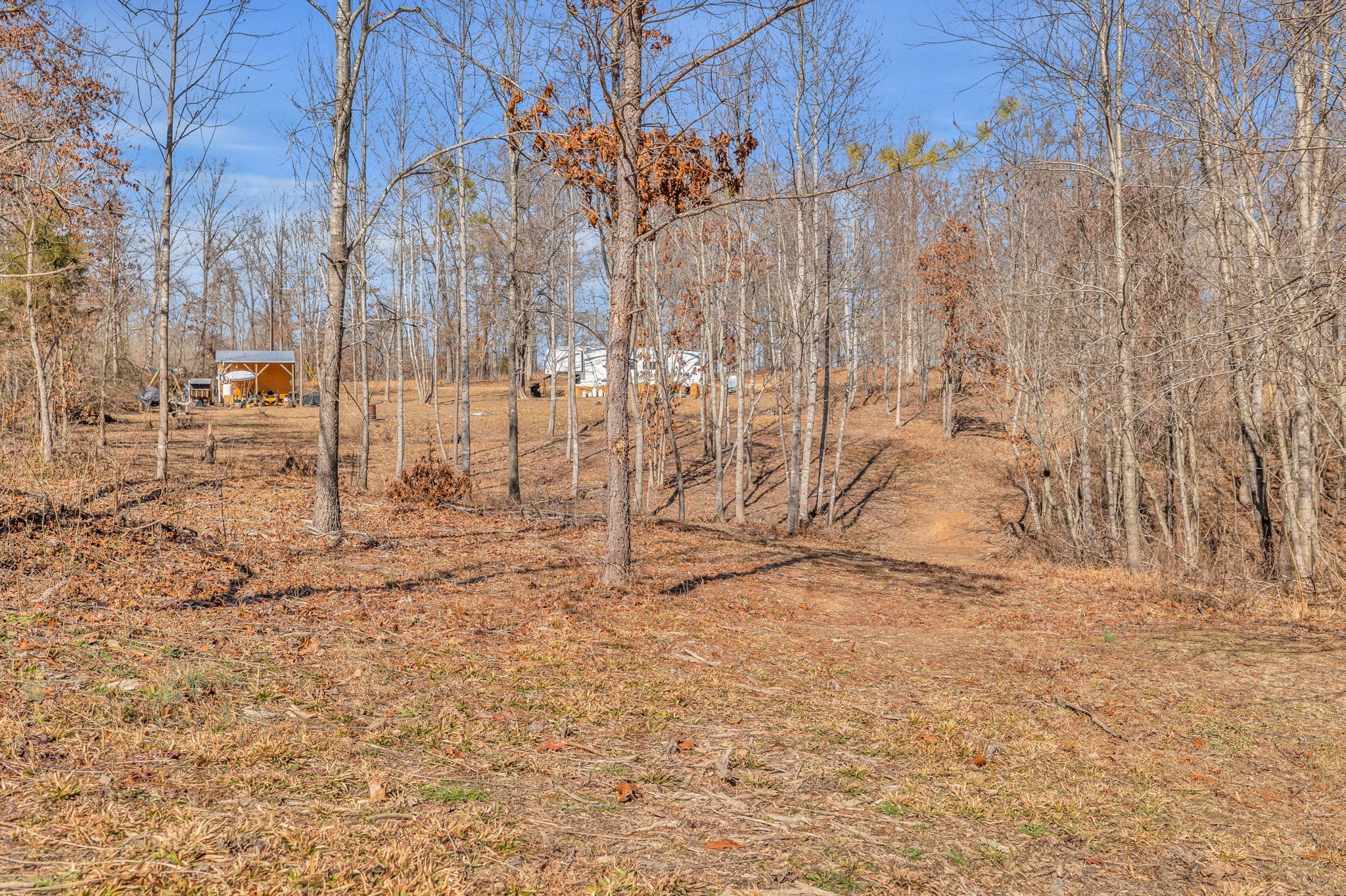 262 Deer Haven Road Indian Mound, TN 37079 - Photo 14 of 29