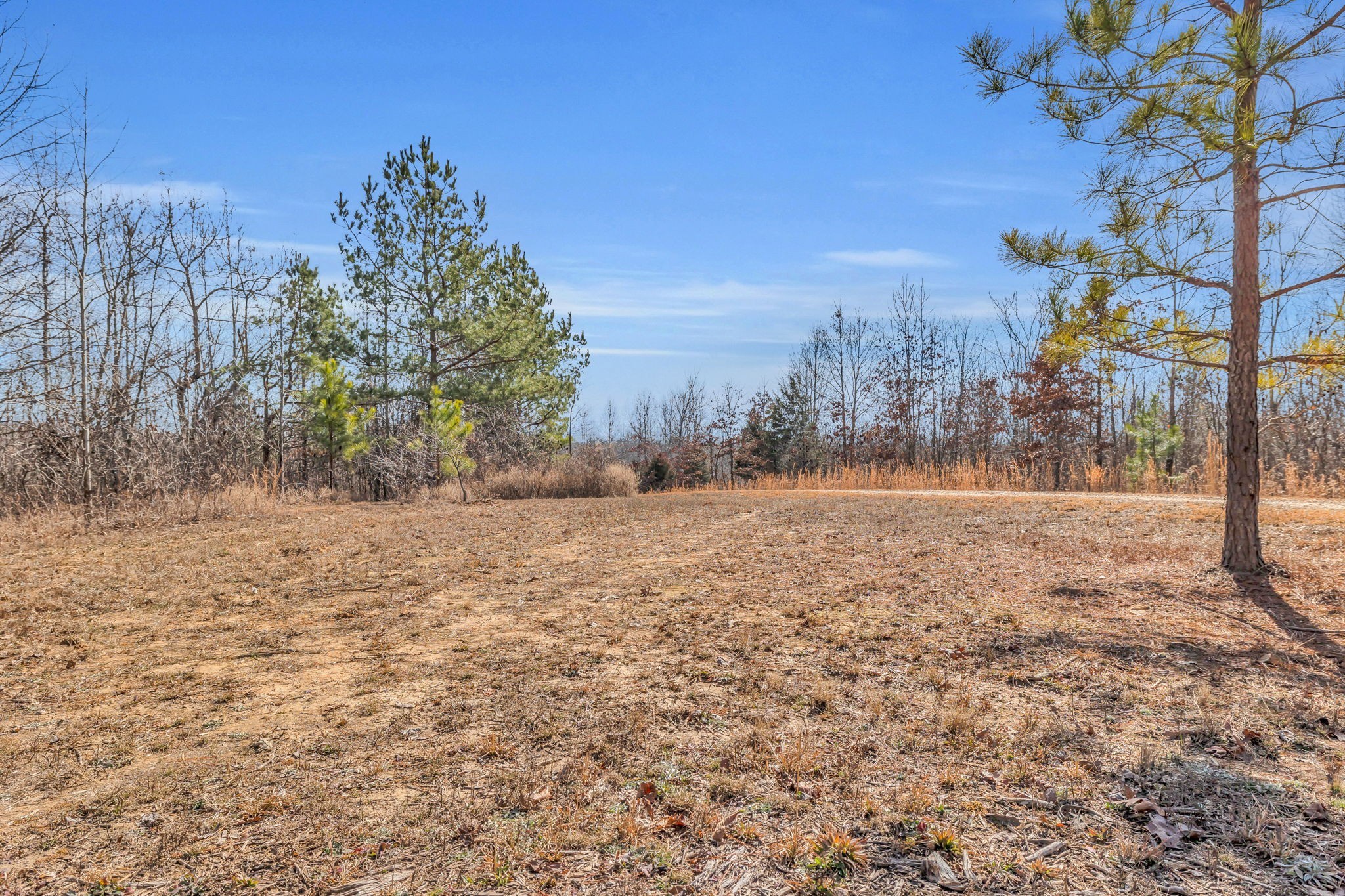 262 Deer Haven Road Indian Mound, TN 37079 - Photo 15 of 29