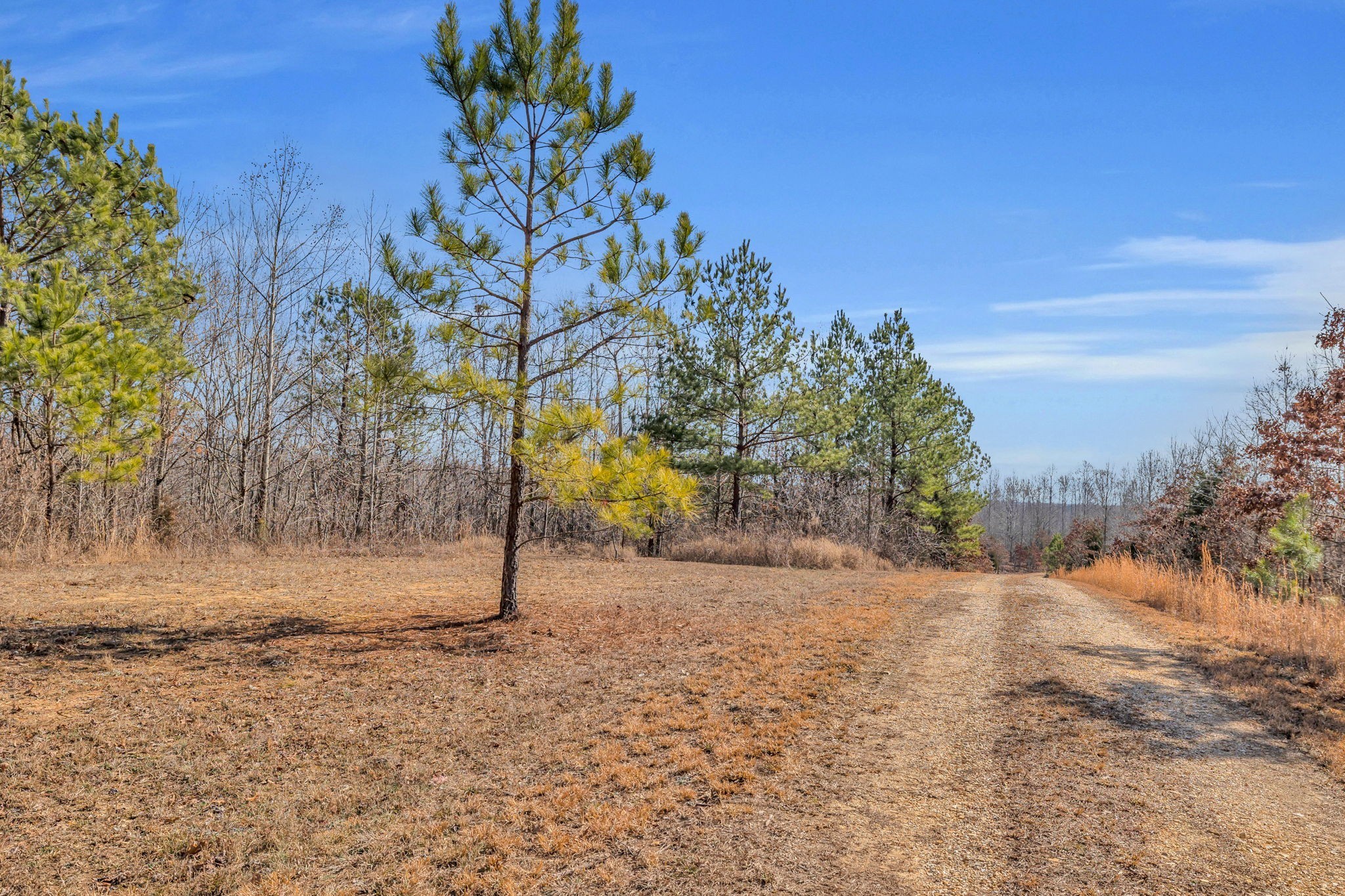 262 Deer Haven Road Indian Mound, TN 37079 - Photo 16 of 29
