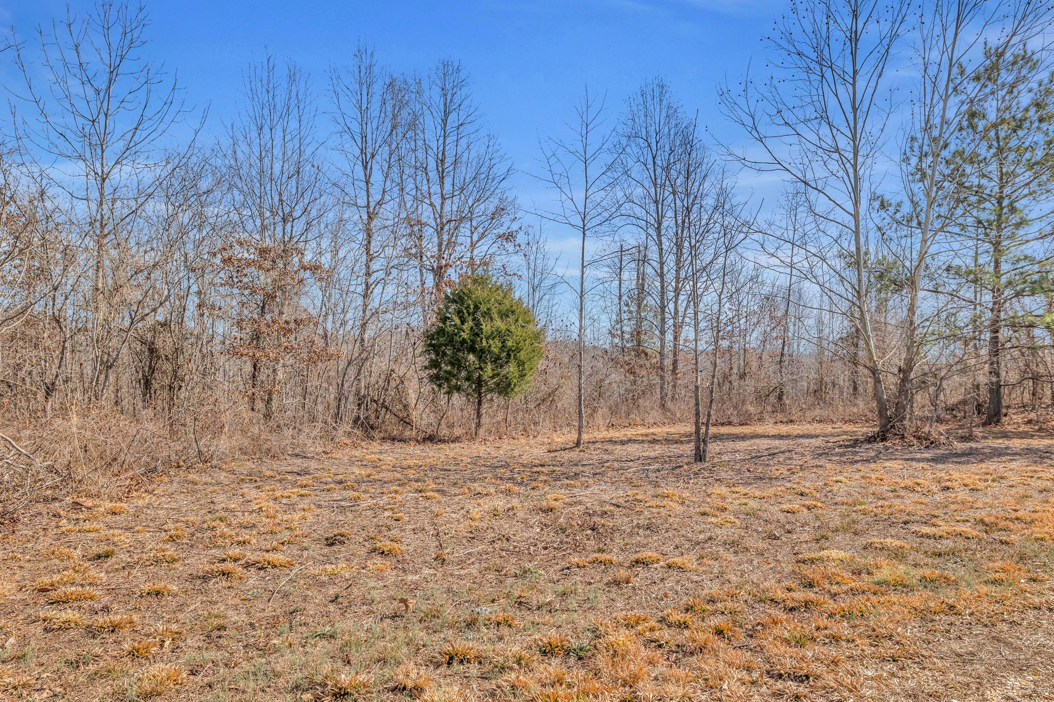 262 Deer Haven Road Indian Mound, TN 37079 - Photo 17 of 29