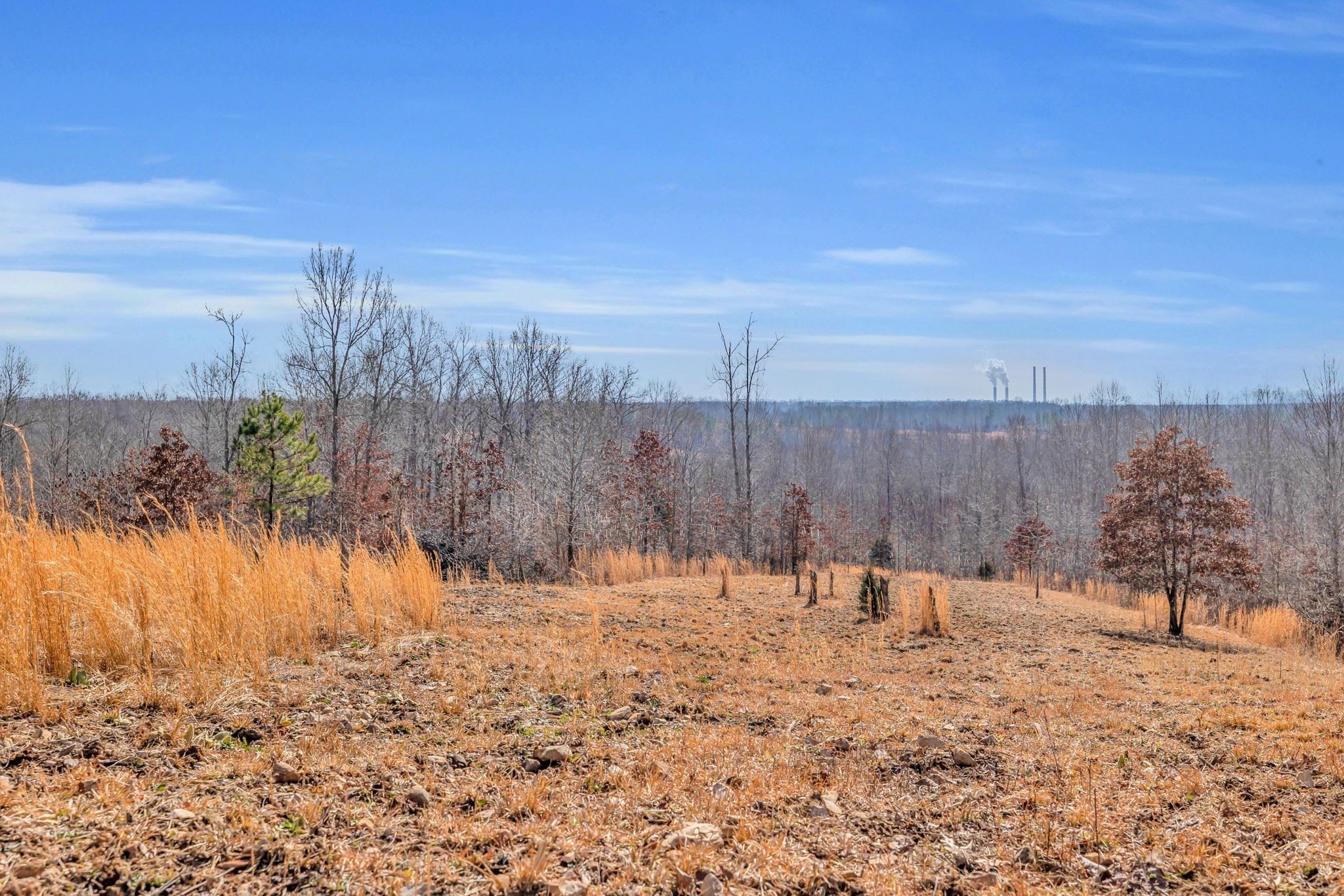 262 Deer Haven Road Indian Mound, TN 37079 - Photo 18 of 29