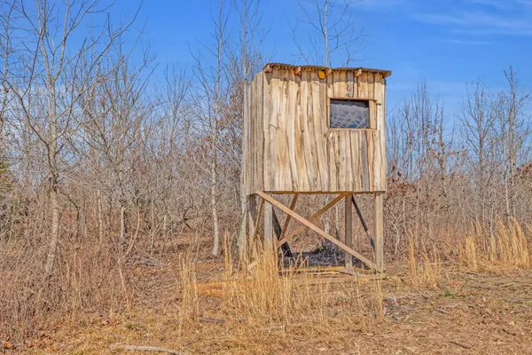 a view of a dry yard with wooden fence