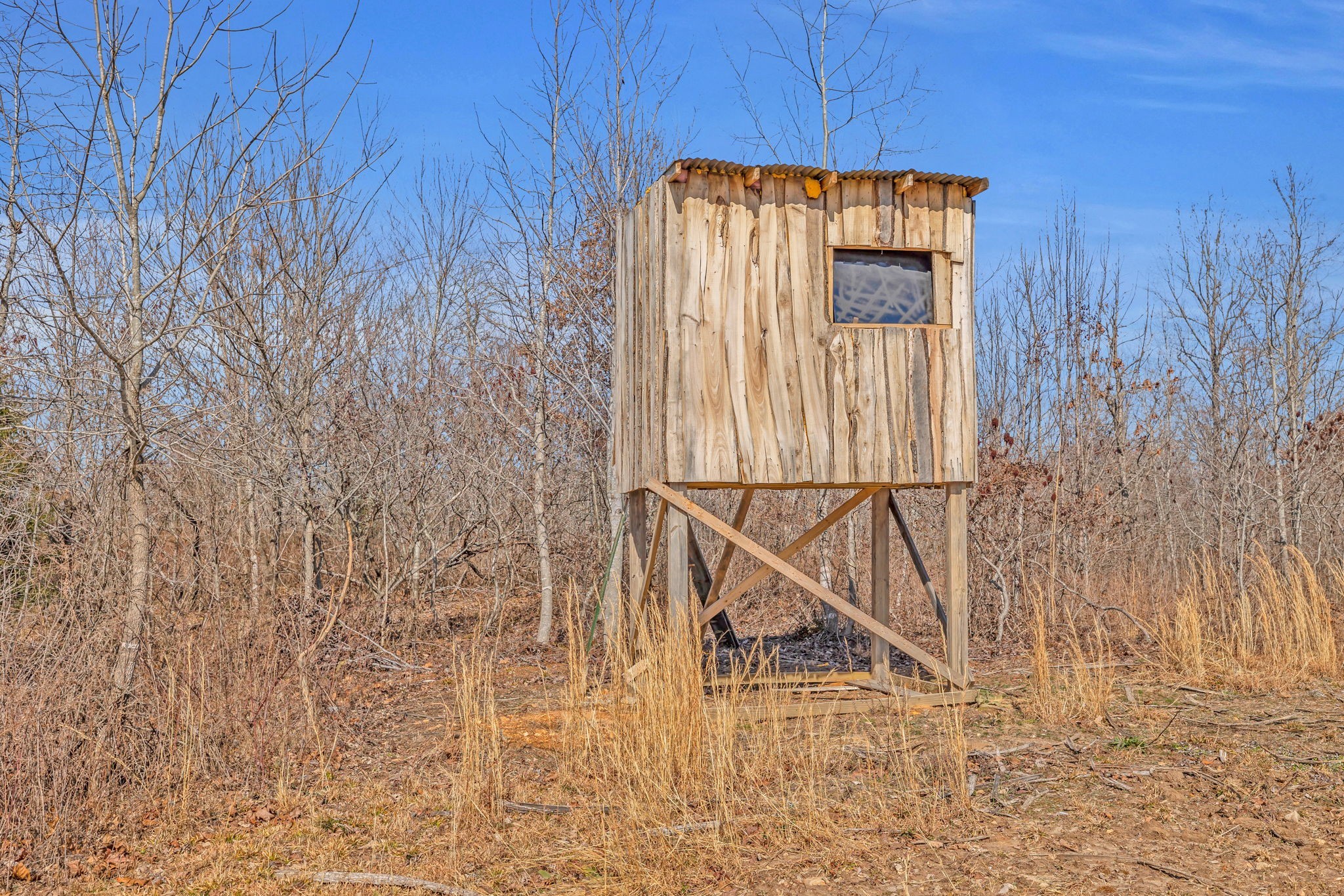 262 Deer Haven Road Indian Mound, TN 37079 - Photo 19 of 29