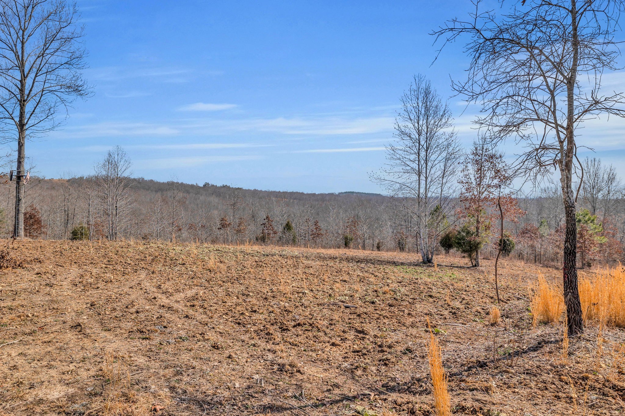 262 Deer Haven Road Indian Mound, TN 37079 - Photo 20 of 29