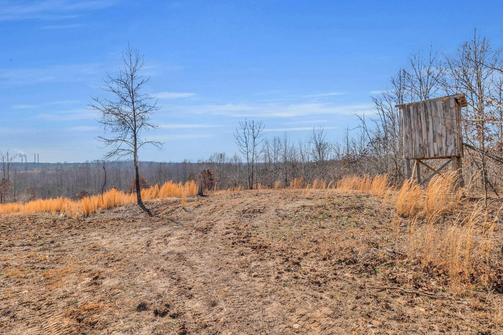 262 Deer Haven Road Indian Mound, TN 37079 - Photo 21 of 29