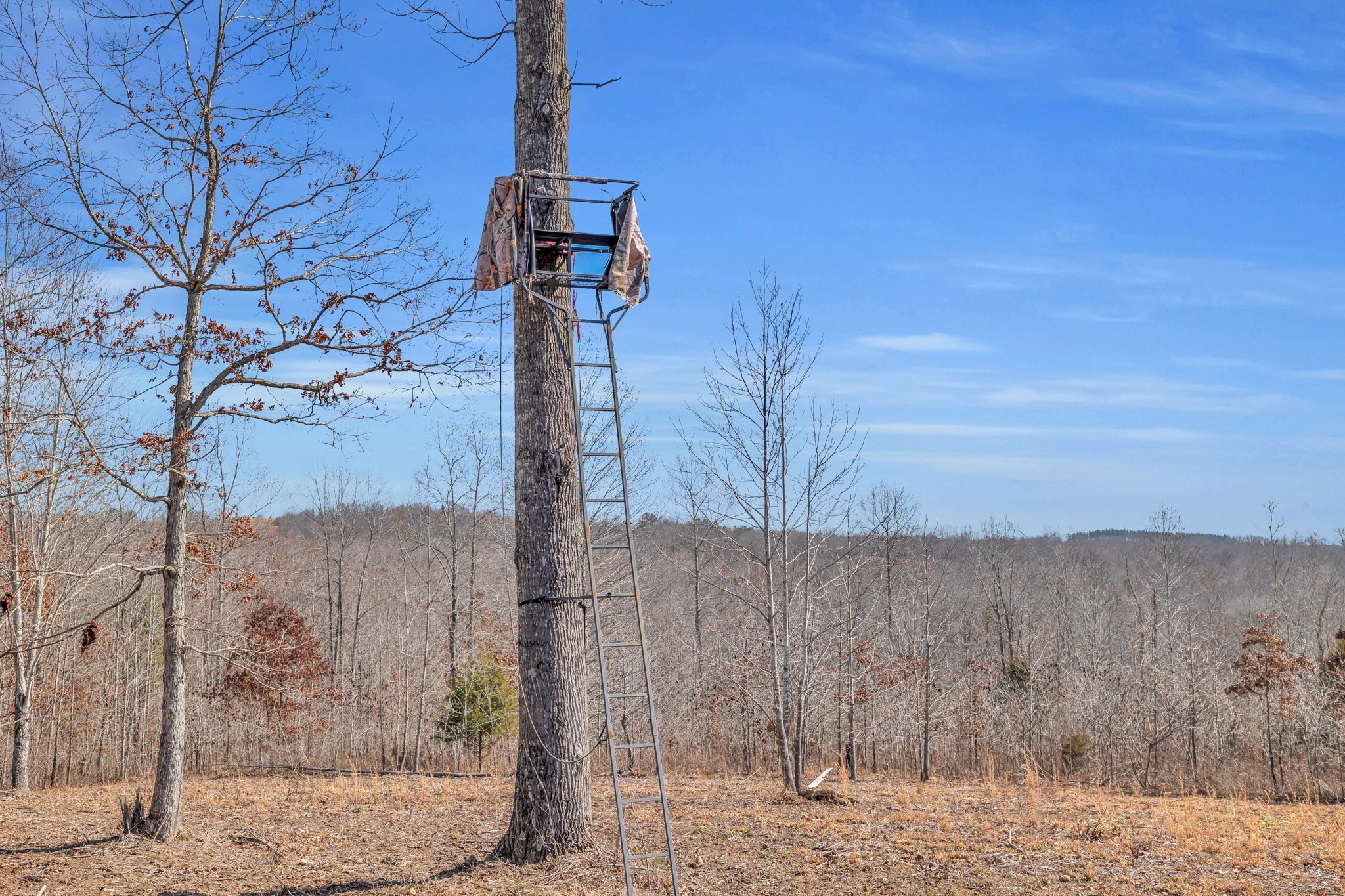 262 Deer Haven Road Indian Mound, TN 37079 - Photo 22 of 29