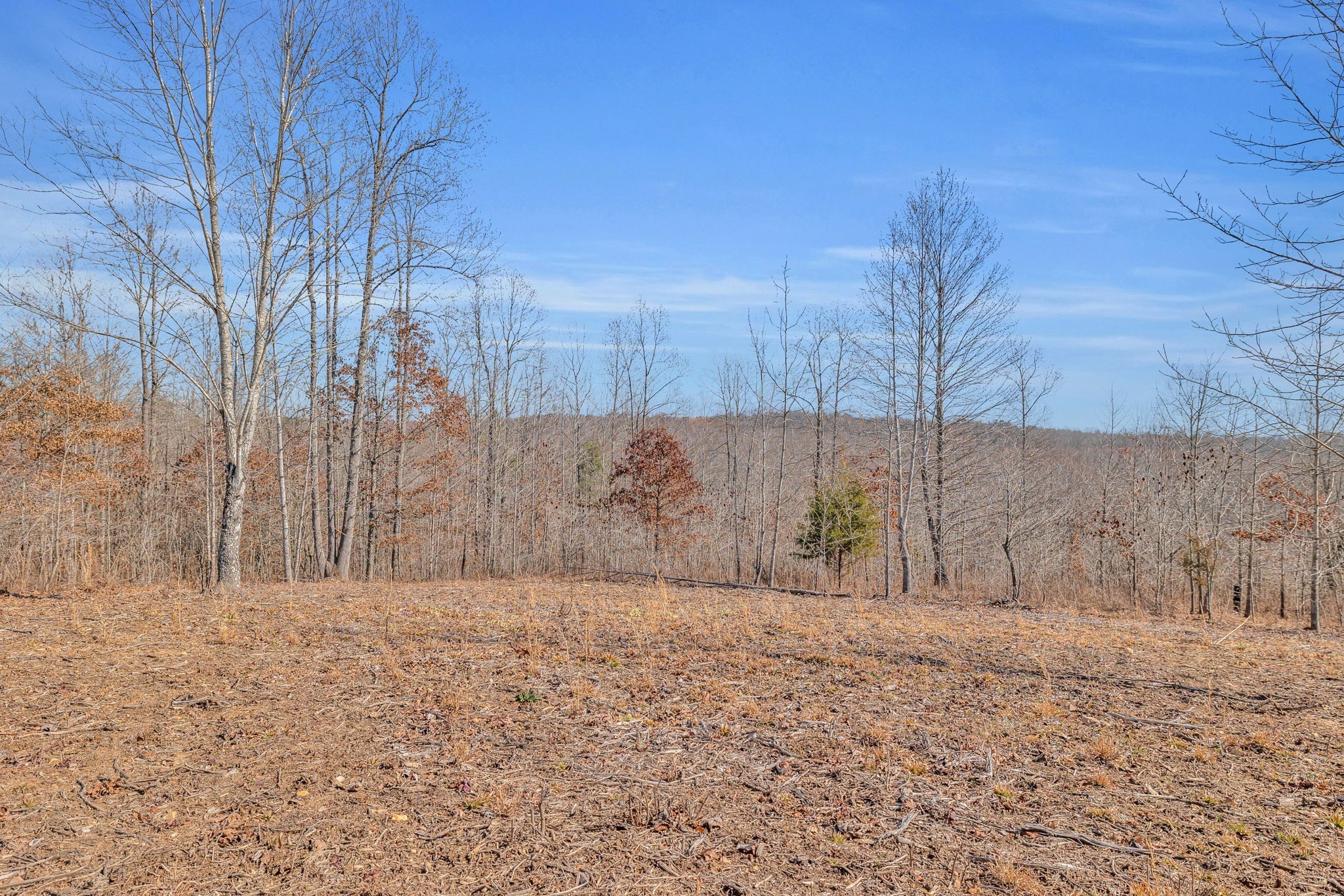 262 Deer Haven Road Indian Mound, TN 37079 - Photo 23 of 29